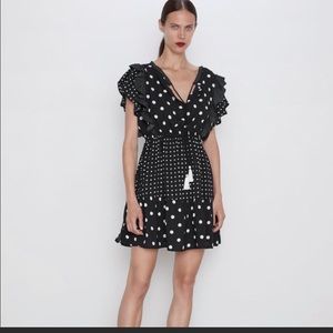 Zara Polka Dot Dress